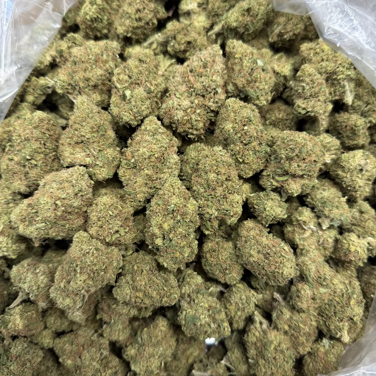 Lemon Kush Flower